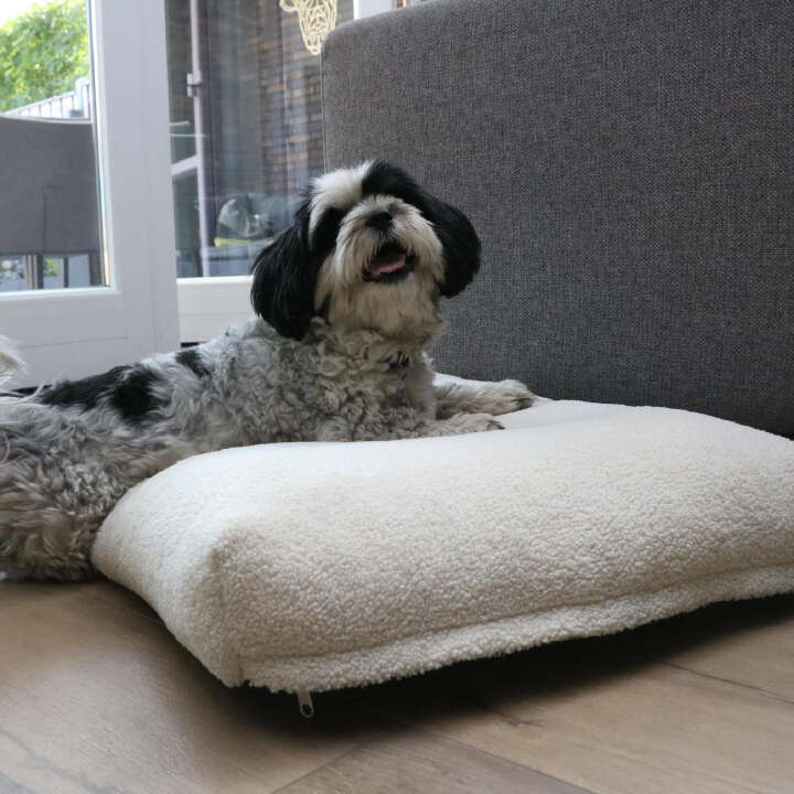 D&D HOME Hundekissen Polly
